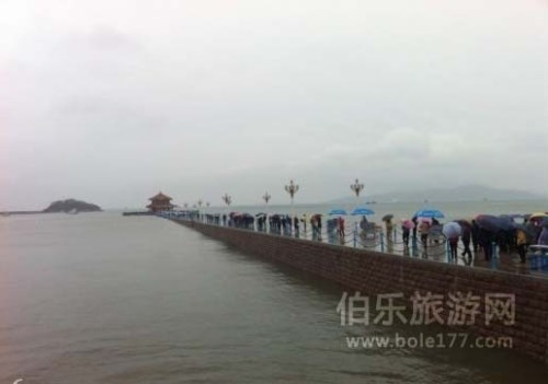 青島特產 青島特產有哪些 青島特產是什么