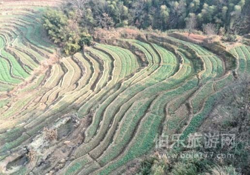 婺源篁嶺