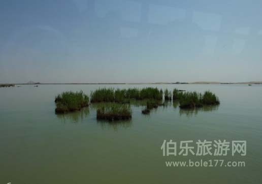 沙坡頭