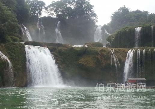 黃果樹(shù)