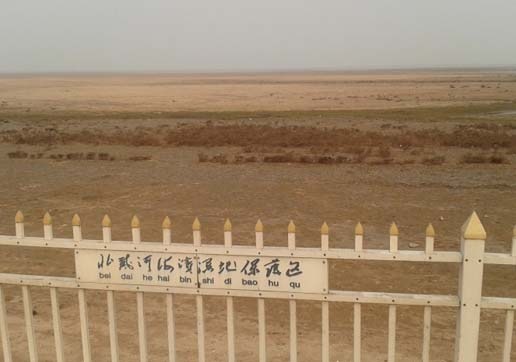 北戴河濕地